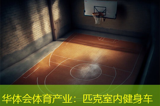 匹克室内健身车