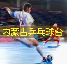 内蒙古乒乓球台