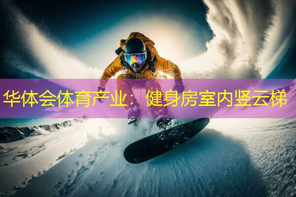 健身房室内竖云梯
