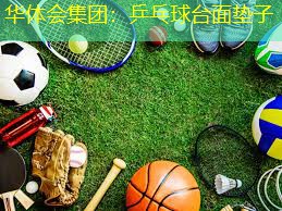 乒乓球台面垫子
