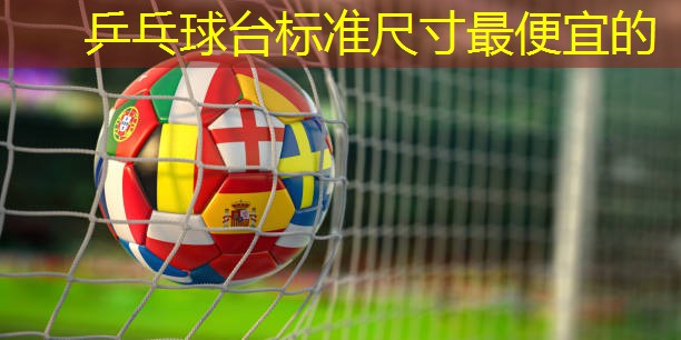 乒乓球台标准尺寸最便宜的
