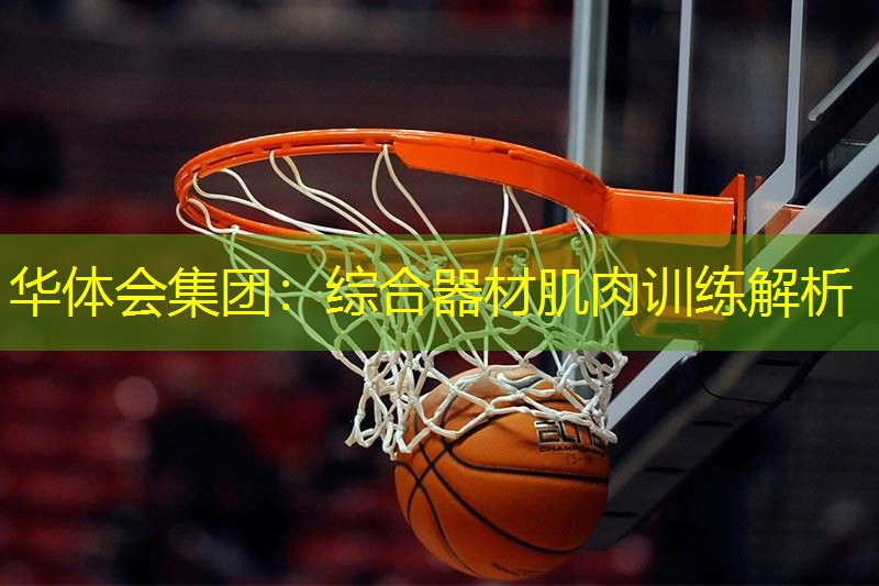 综合器材肌肉训练解析