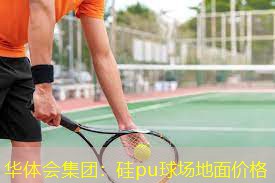 硅pu球场地面价格