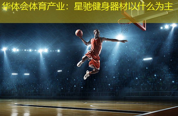 星驰健身器材以什么为主