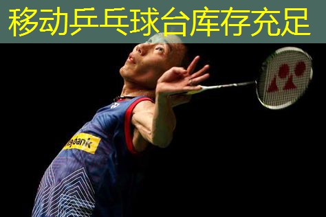 移动乒乓球台库存充足