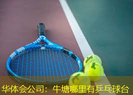 牛塘哪里有乒乓球台