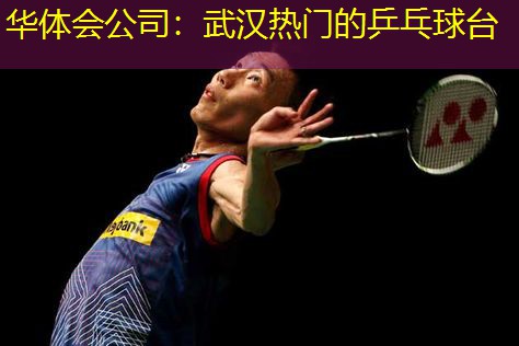 武汉热门的乒乓球台