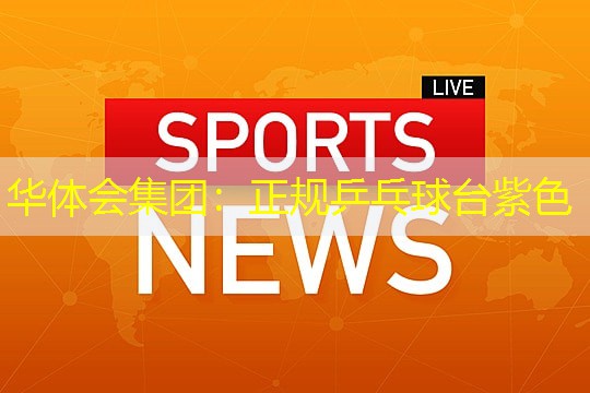 正规乒乓球台紫色