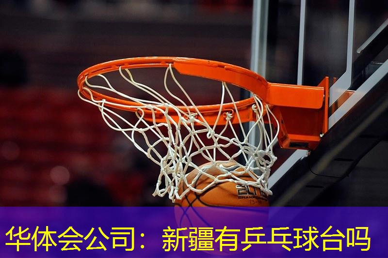 新疆有乒乓球台吗