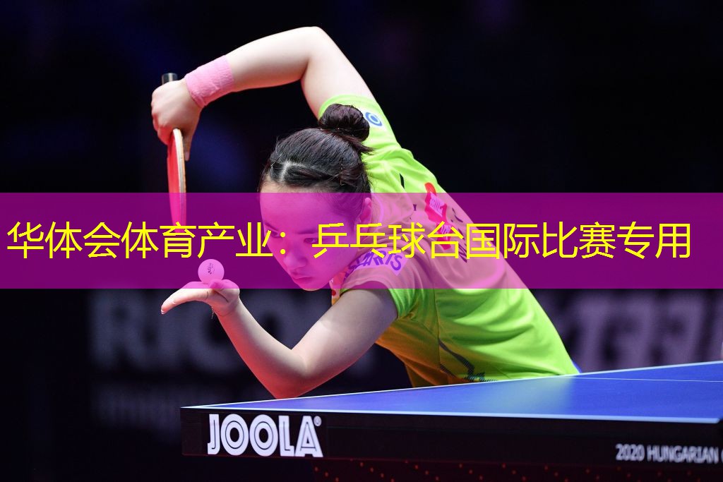 乒乓球台国际比赛专用