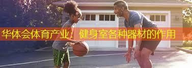 健身室各种器材的作用