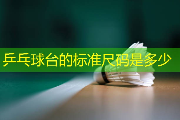 乒乓球台的标准尺码是多少