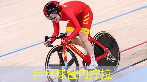 乒乓球台内拧拉