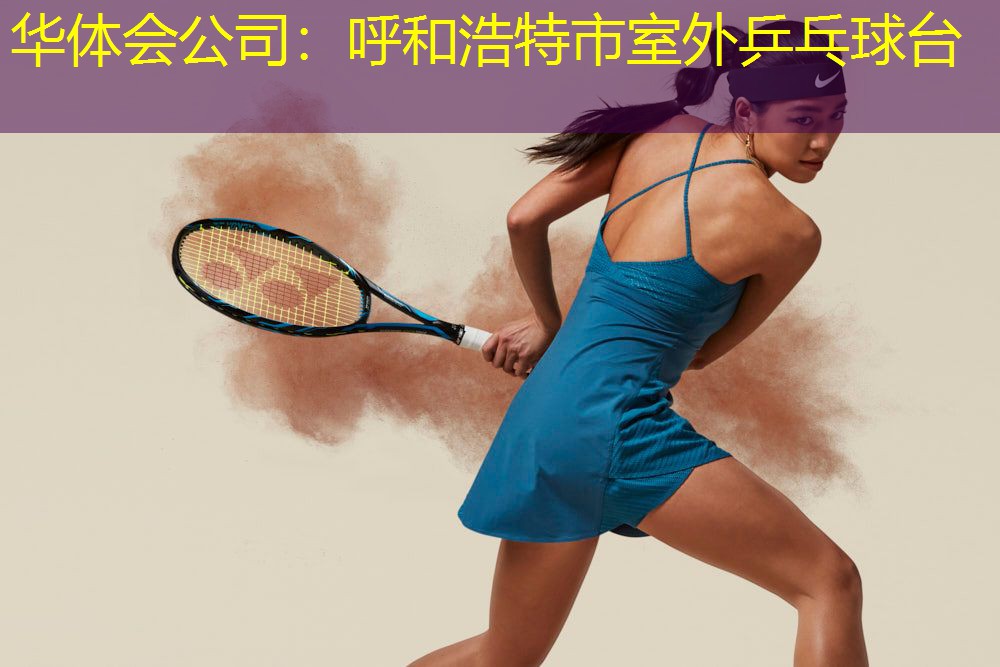 呼和浩特市室外乒乓球台