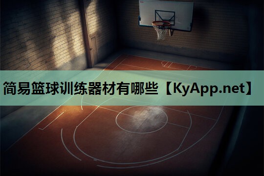 简易篮球训练器材有哪些