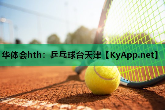 乒乓球台天津