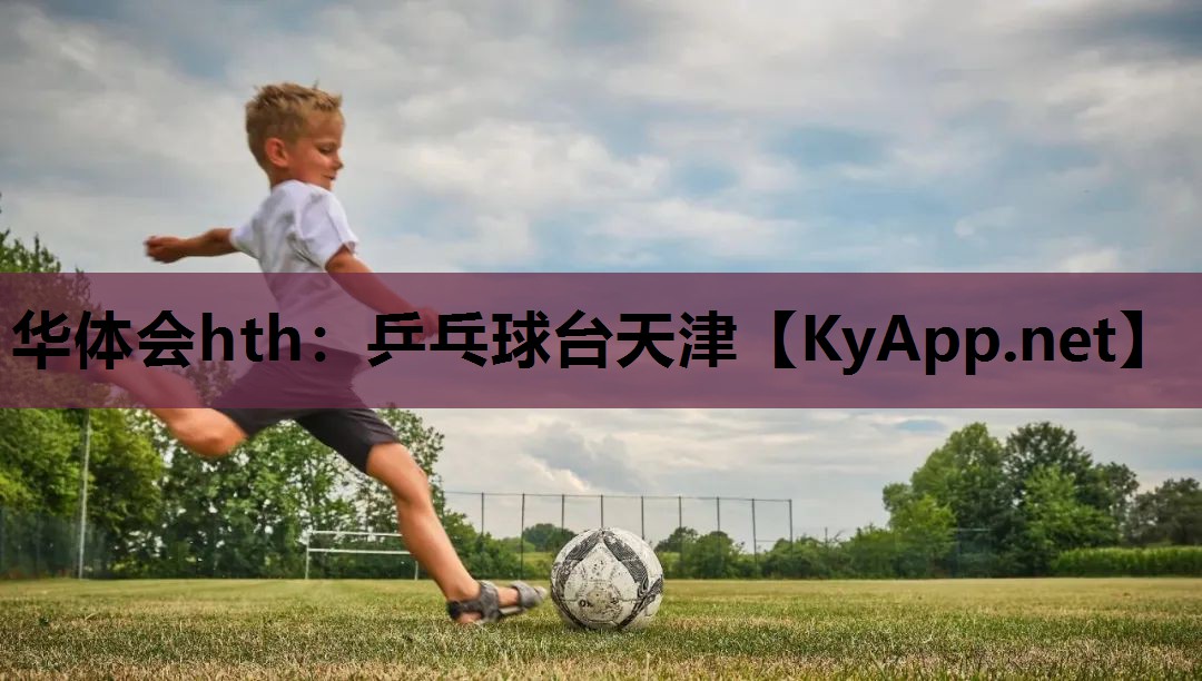 乒乓球台天津