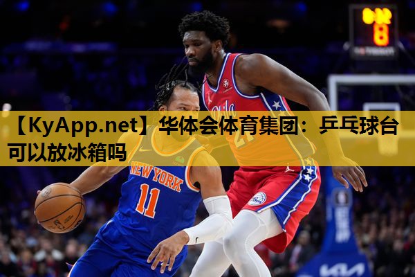 乒乓球台可以放冰箱吗