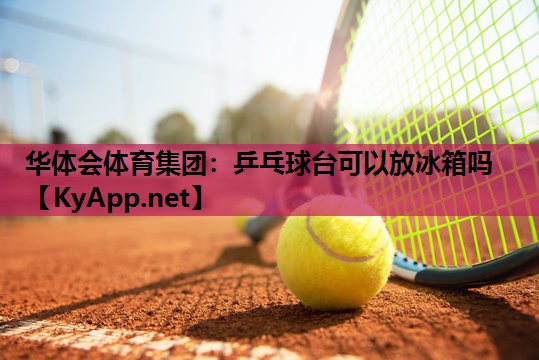 乒乓球台可以放冰箱吗