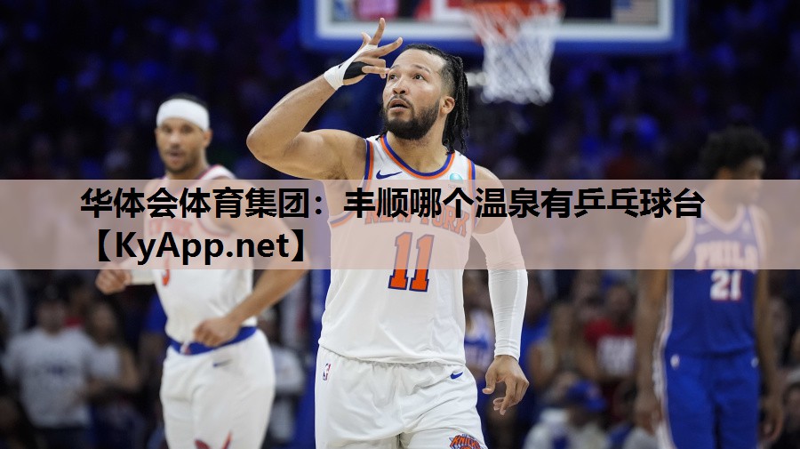 丰顺哪个温泉有乒乓球台
