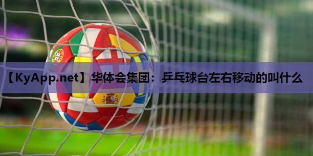乒乓球台左右移动的叫什么