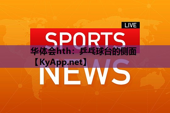乒乓球台的侧面
