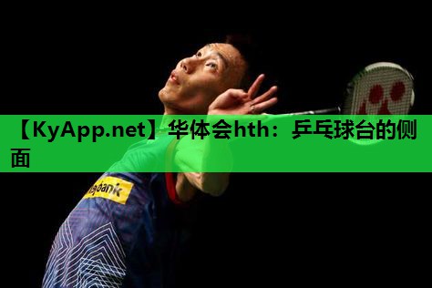 乒乓球台的侧面