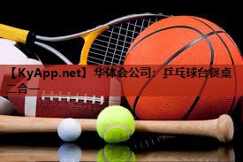 乒乓球台餐桌二合一