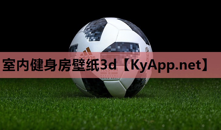 室内健身房壁纸3d