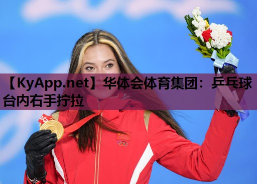 乒乓球台内右手拧拉