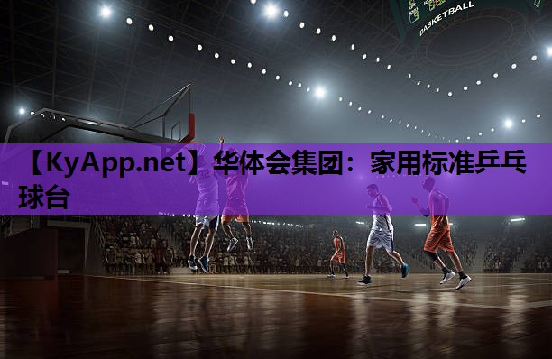 家用标准乒乓球台