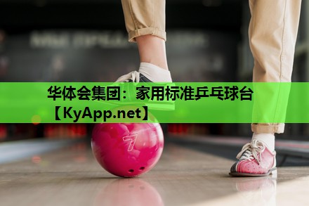 家用标准乒乓球台