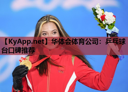 乒乓球台口碑推荐