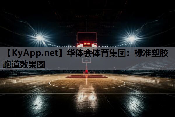 标准塑胶跑道效果图