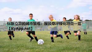 标新立异的城市景观：屋顶草坪绿化特点一览
