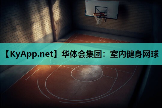 室内健身网球