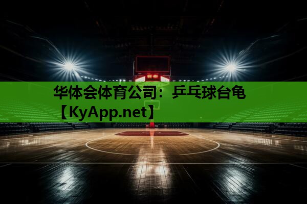 乒乓球台龟