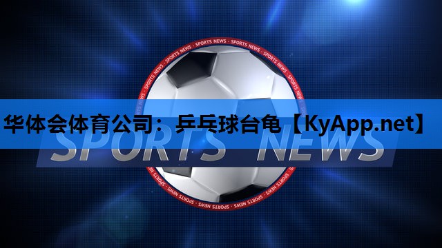 乒乓球台龟
