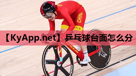 乒乓球台面怎么分