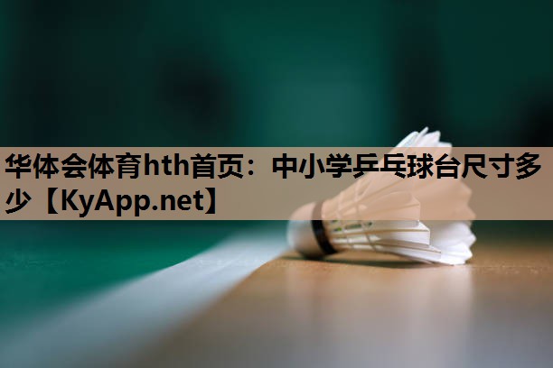 中小学乒乓球台尺寸多少