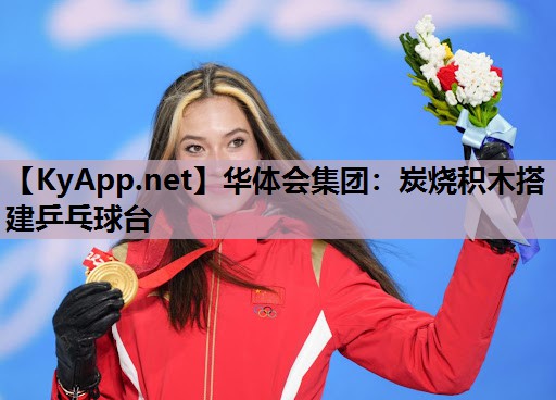 炭烧积木搭建乒乓球台
