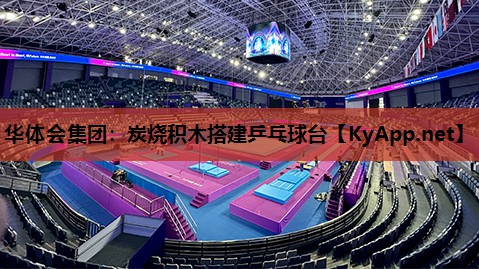 炭烧积木搭建乒乓球台