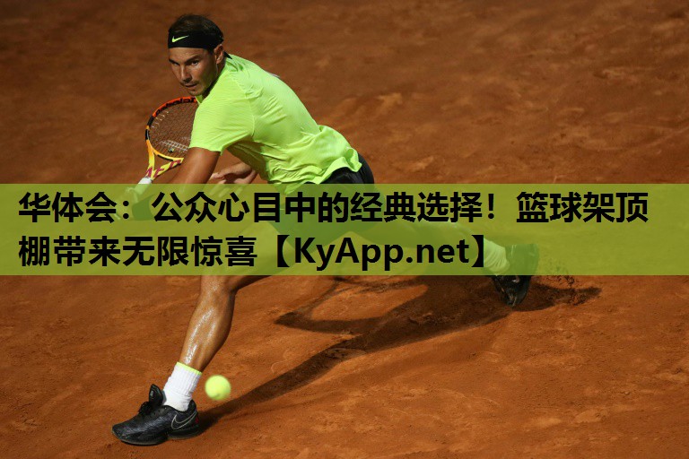 公众心目中的经典选择！篮球架顶棚带来无限惊喜