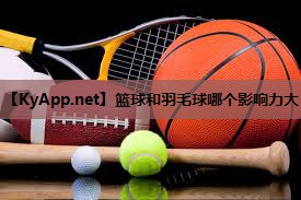 篮球和羽毛球哪个影响力大