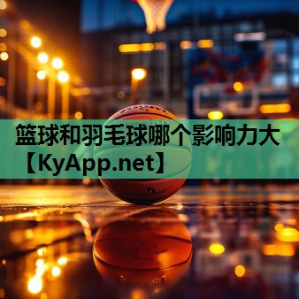 篮球和羽毛球哪个影响力大