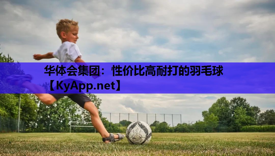 性价比高耐打的羽毛球