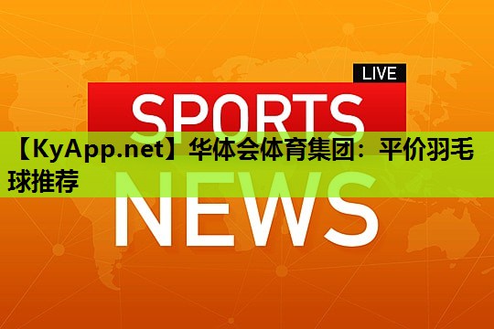 平价羽毛球推荐