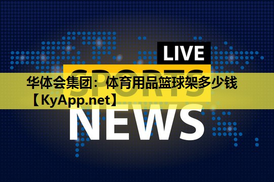 体育用品篮球架多少钱