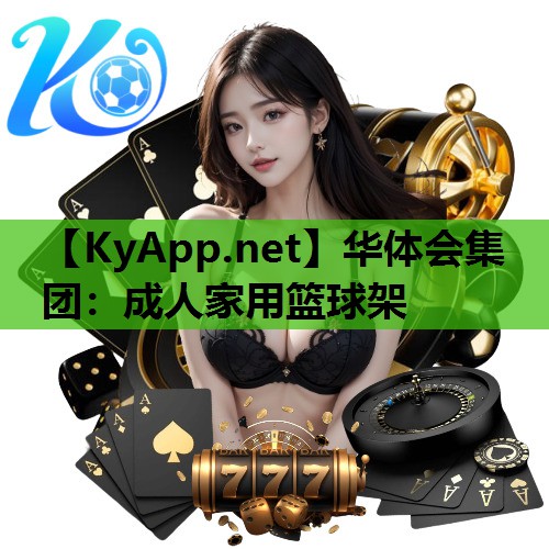 成人家用篮球架