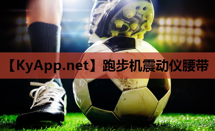 跑步机震动仪腰带
